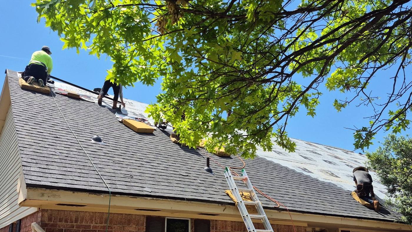 Roofers working on a roof partly covered in synthetic underlayment, with a ladder set against the eave